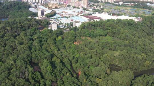 航拍深圳龙华区观澜城市空间