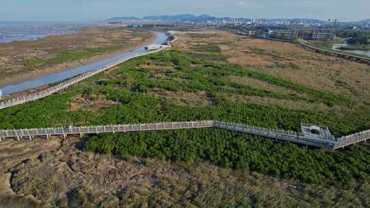 航拍福州闽江河口湿地公园视频素材模板下载