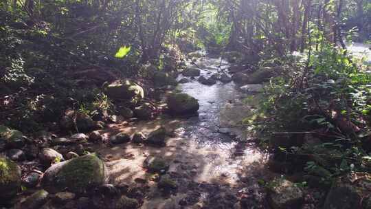 自然小溪流水山泉水