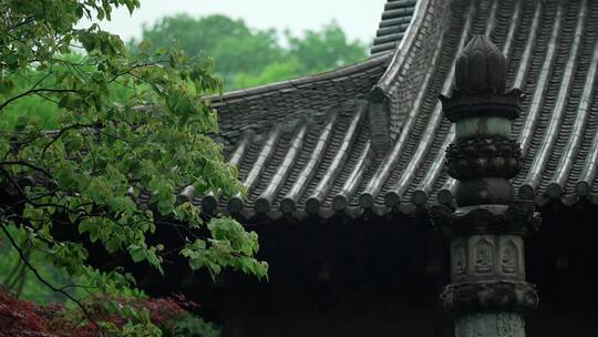 107 杭州 寺庙 古建筑 下雨天 屋檐 树枝视频素材模板下载