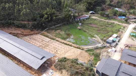 清远黑棕鹅养殖基地航拍素材4K直出