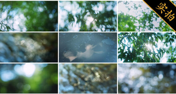 夏天树影光斑 逆光唯美光斑意境舞台背景高清在线视频素材下载