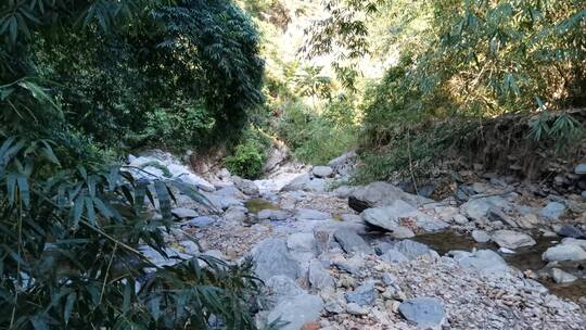 4K拍摄山谷中的溪水