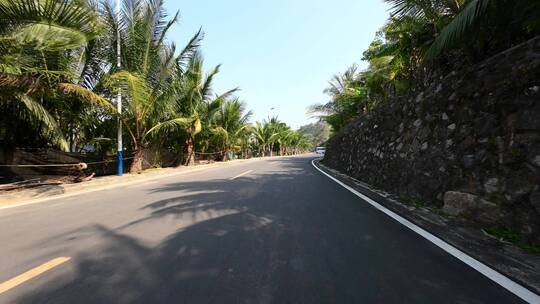 汽车行驶在穿过椰子林的公路上
