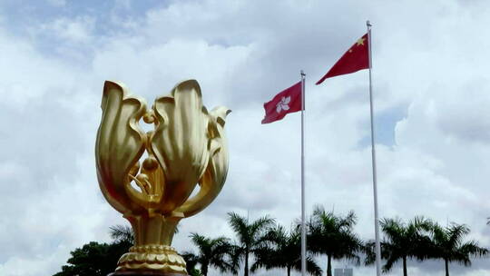 香港区旗紫金花旗和中国国旗视频素材模板下载