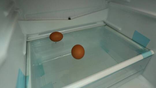 【镜头合集】打开冰箱门储存鸡蛋码放鸡蛋