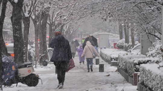 城市下大暴雪