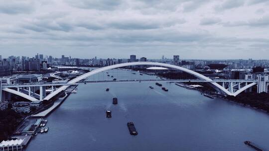 卢浦大桥延时摄影