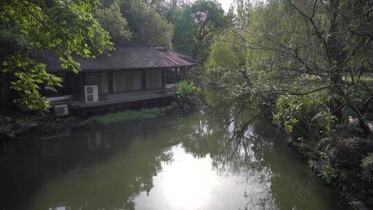 杭州西湖景区曲院风荷风景