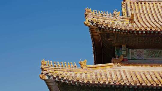 故宫宫殿屋脊兽0273