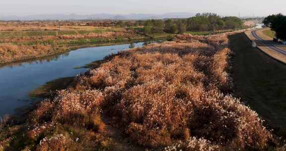 杭州余杭区北湖草荡湿地秋天风光航拍