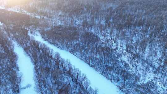 鸟瞰夕阳照耀的冬天雪林雪景