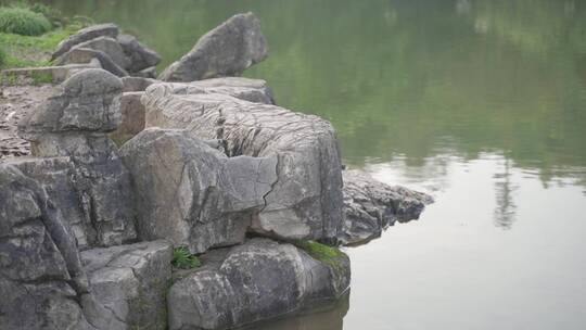 公园湖边石头 空镜