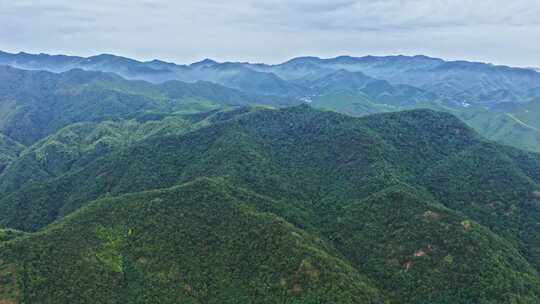 航拍避暑之地浙江湖州莫干山自然风光