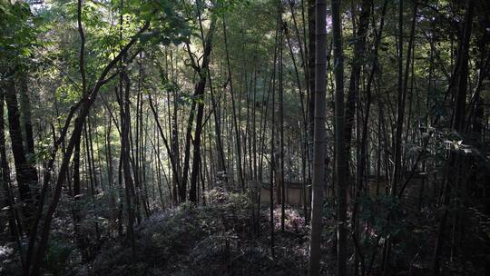 杭州西湖宝石山风景视频