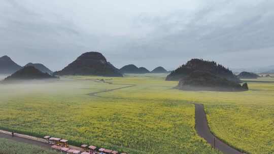 航拍油菜花海罗田云南春天蓝天白云风景景区