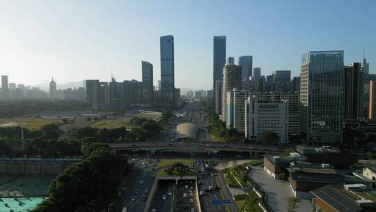 深圳路边杜鹃花，道路交通