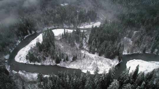 山，冬天，雪，树