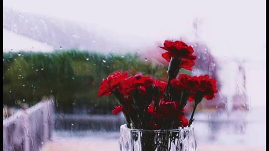 下雨窗边的花朵悲伤哭泣