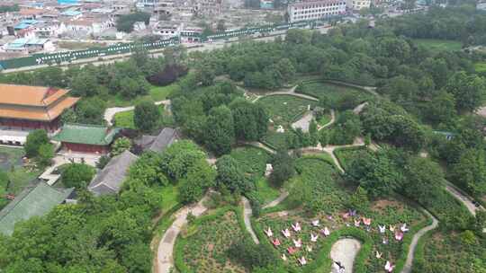 航拍山东菏泽曹州牡丹园4a景区