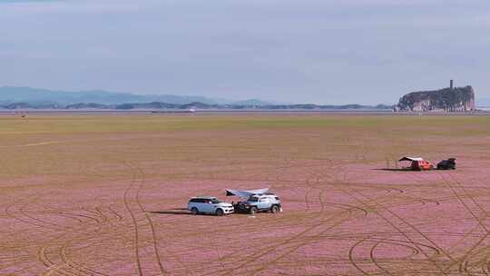 鄱阳湖粉色花海露营航拍视频视频素材模板下载