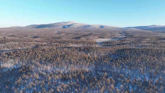 航拍大兴安岭冬季山川森林雪景