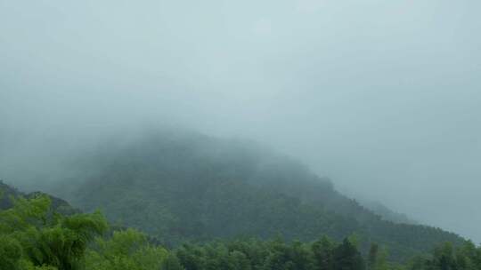 【延时】雨后山林烟雾飘渺02