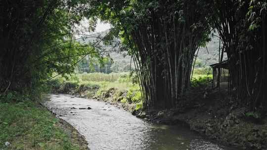 【正版素材】农村河道大河水流溪水