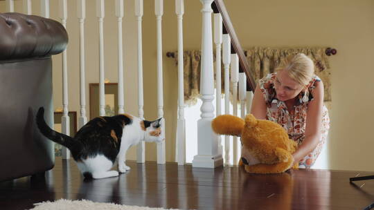 一个女人给一只猫看一只泰迪熊，猫害怕玩具有趣的宠物视频