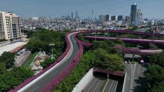 中国广东省广州市东晓南立交三角梅