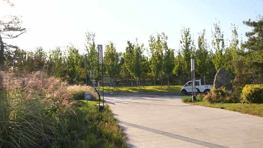 郊野公园 雄安郊野公园 雄安新区 郊野公园