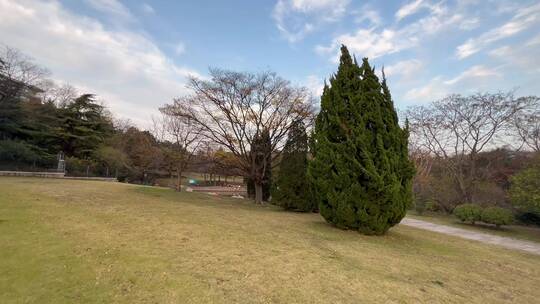 4k 日落下的城市园林自然风光特写