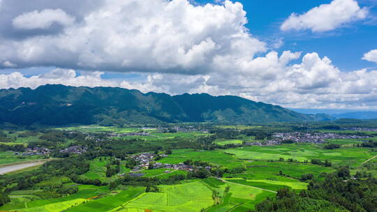 【延时】夏天绿色大地田园航拍