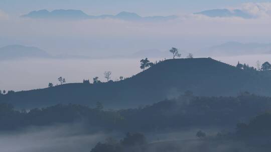 茶山云雾延时