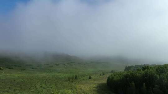 航拍绿色山野晨雾缭绕视频素材模板下载