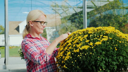 女人欣赏黄色的花