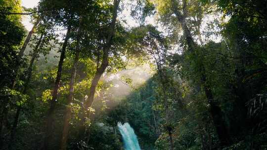 阳光透过树缝照进带瀑布的森林