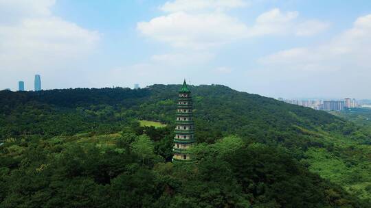 广西南宁青秀山风景区龙象塔