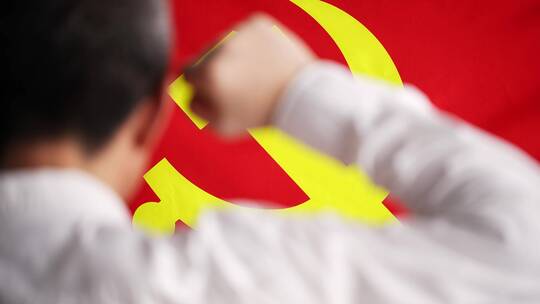 新党员在红色党旗下入党宣誓视频素材模板下载