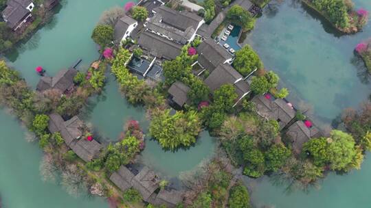 初春江南湿地庭院梅花盛开季节杭州西溪湿地