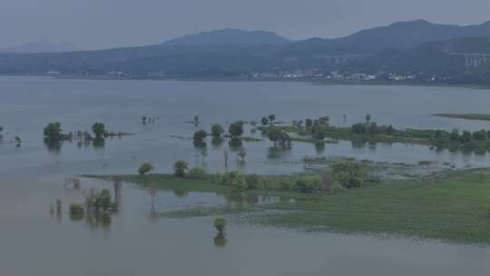 洛阳嵩县陆浑水库湿地生态