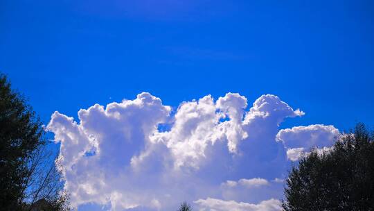 大气 天空 延时 蓝天 白云 云 云朵