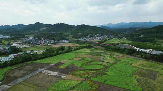 合集南方丘陵农业种植农田航拍