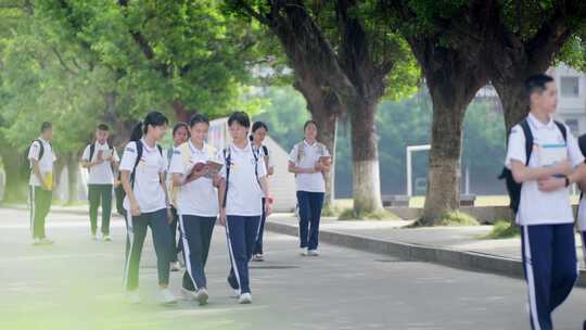 中学生校园学生生活行走在林荫道朝气蓬勃