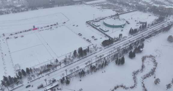 雪后树林场景