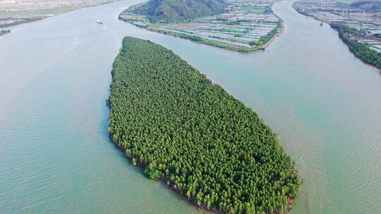 4k森林资源防风固沙水松林航道航拍