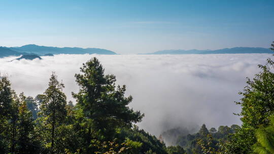 早晨山间的云海