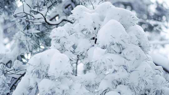 伏牛山冬季雪景雾凇