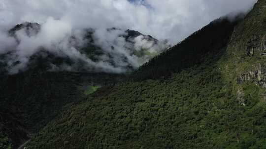 玉麦乡风景