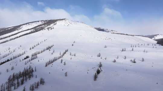 航拍新疆冬季喀纳斯湖雪景雪山森林冰河晨雾